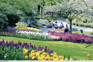Farbenfroher Frühlingsgarten mit üppigen Blumenbeeten. Im Vordergrund sind leuchtend gelbe Tulpen und violette Iris zu sehen. Der geschwungene Weg führt durch rosa blühende Sträucher und unter blühenden Bäumen hindurch. Besucher sitzen auf Bänken und genießen die idyllische Parklandschaft. Der Garten strahlt eine friedliche und einladende Atmosphäre aus.